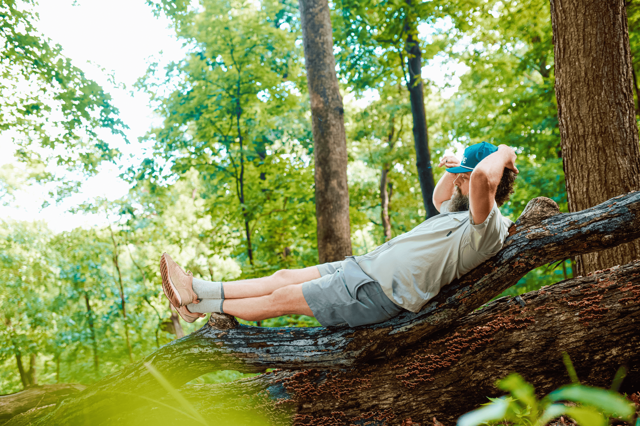Person lying on a tree branch in a lush green forest.